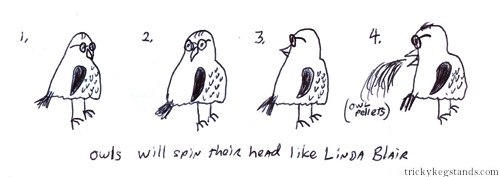 Owls will spin their head like Linda Blair