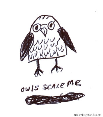 Owls scare me